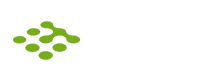 TRENDENCY ONLINE Zrt.