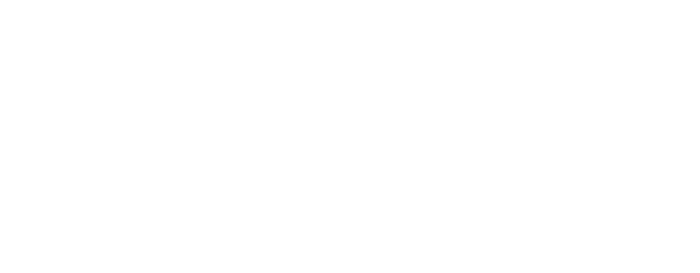 International College of Dentist USA Section