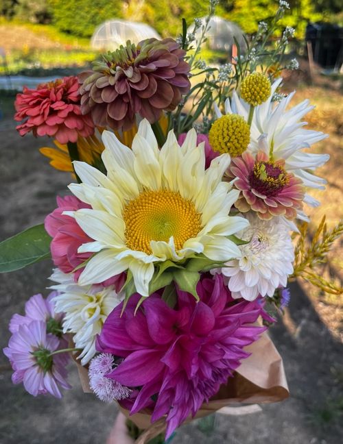 A bouquet of mixed flowers