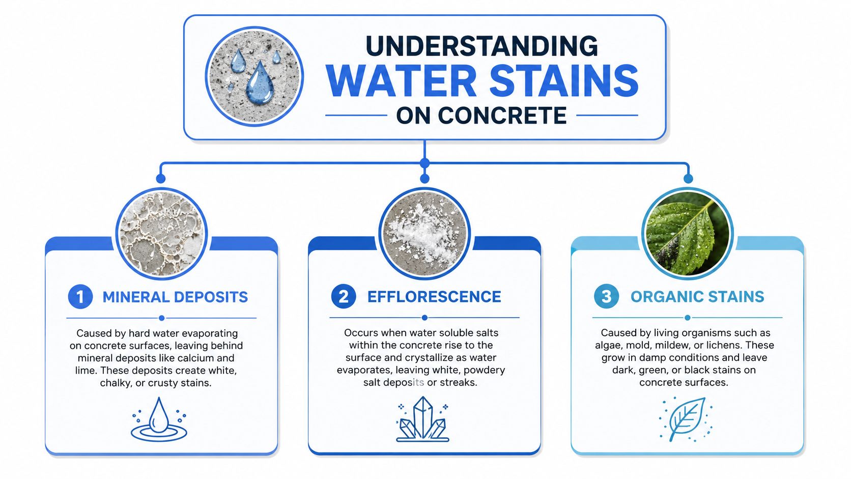 An infographic titled Understanding Water Stains on Concrete, explaining mineral deposits, efflorescence, and organic stains on surfaces.