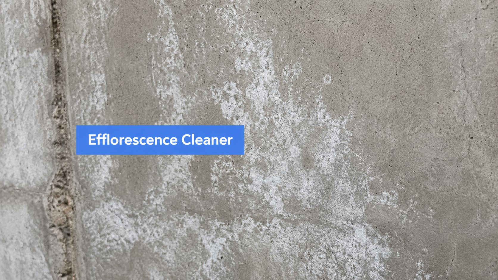Concrete Efflorescence Cleaner: A Complete Guide for 2026