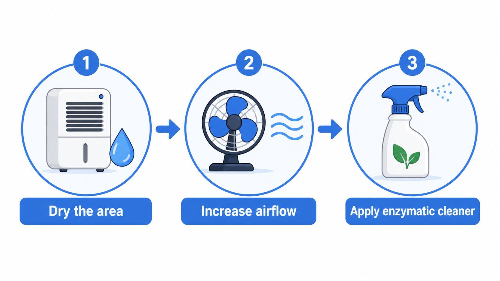 A three-step infographic showing how to remove mold smells by drying, increasing airflow, and using enzymatic cleaner.
