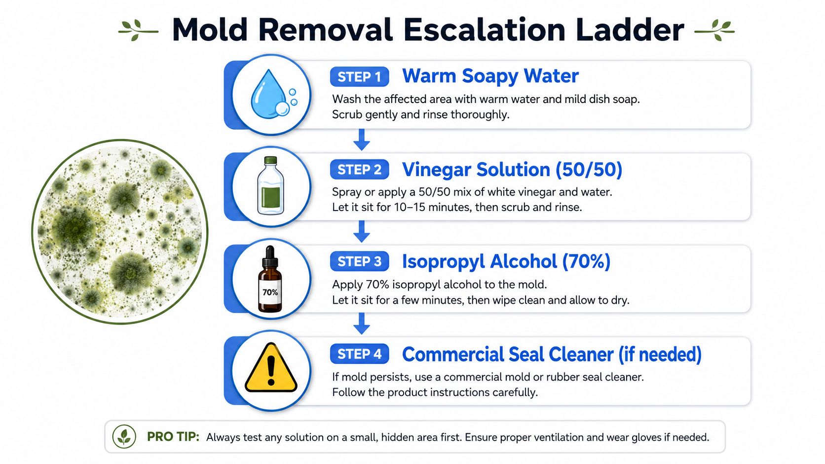 A four-step infographic illustrating the progressive methods for removing mold from window seals or surfaces.