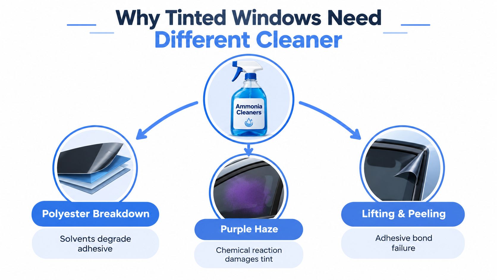 An infographic explaining why ammonia-based cleaners damage automotive window tints, causing polyester breakdown, discoloration, and peeling.