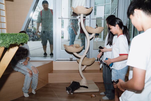 Several teenagers play with a kitten inside a cat cafe.