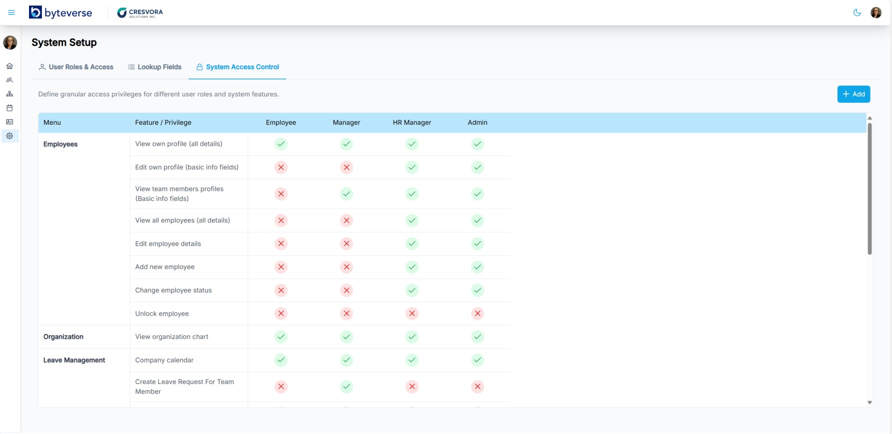 HR system admin setup for access control and permissions