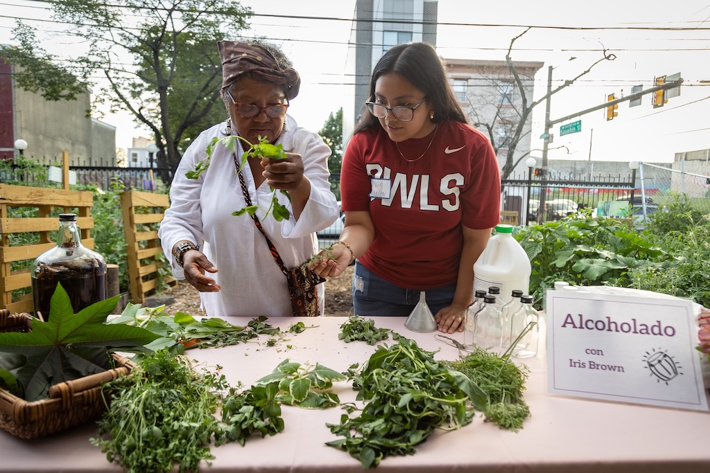 Photo of different vegetables includding beets and cucumbers