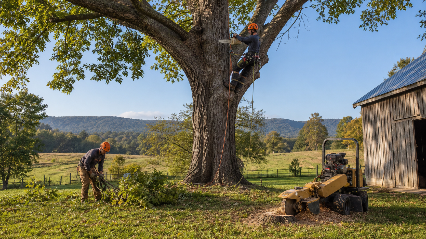 Rockingham County Tree Service: Removal, Pruning and Stump Grinding