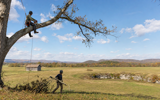 Why Weyers Cave Property Owners Call Us First