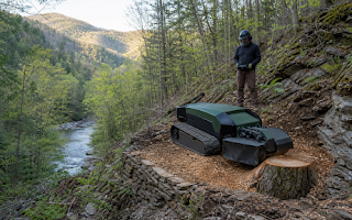 Craigsville, Virginia Tree Removal and Stump Grinding