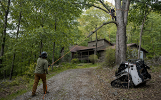 Got a Tree Problem in New Hope? Start Here