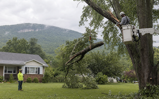 Local Tree Removal Serving Strasburg and Nearby