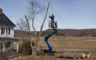 How We Handle Tree Removal in New Market, Virginia