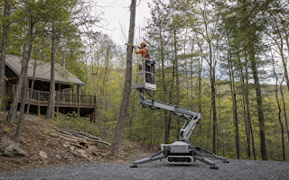 Tree Removal in Basye, VA