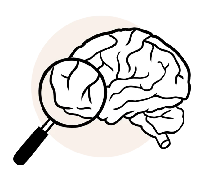 L'apprentissage et pédagogie basés sur la recherche en sciences cognitives