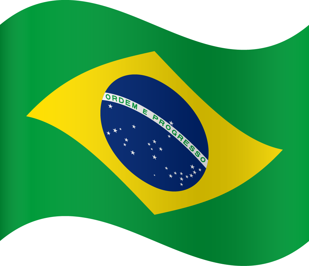 🇧🇷 Portuguese
