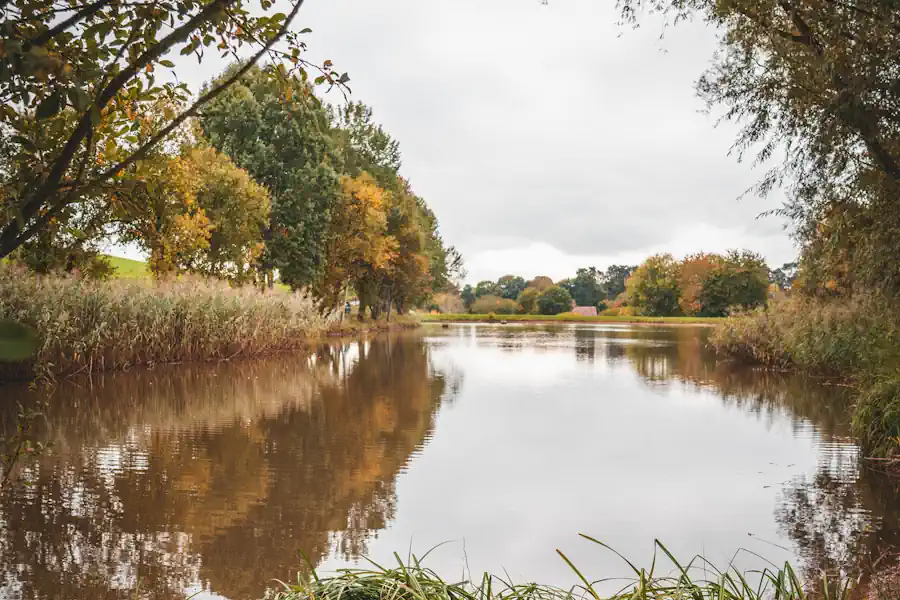 Ecological survey and site collaboration for an NSIP scheme