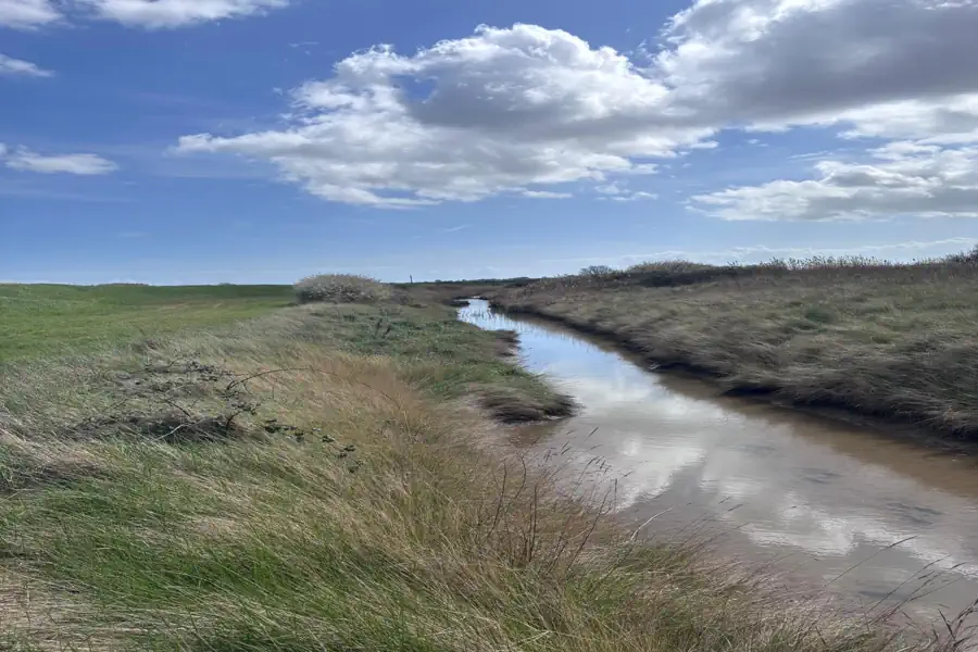 Priors Farm habitat land