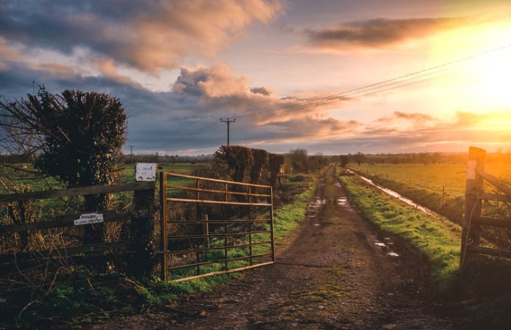 High Weald BNG Scheme