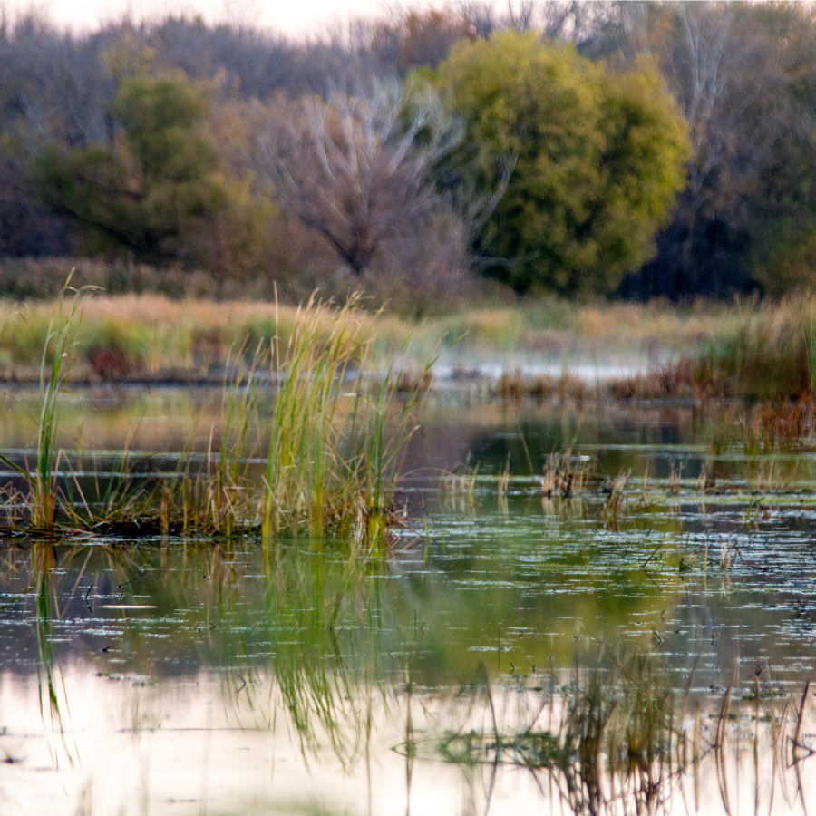 How Existing Floodplain Wetland Mosaic Is Improved