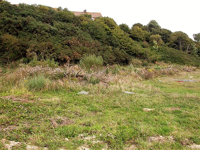 Open Mosaic Habitats on Previously Developed Land BNG Units