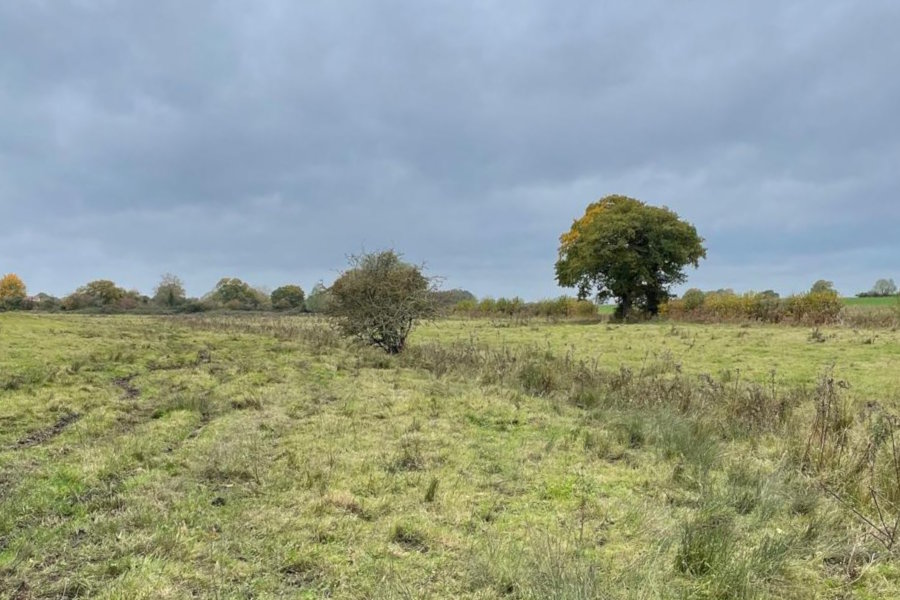 Yare Nutrient Mitigation