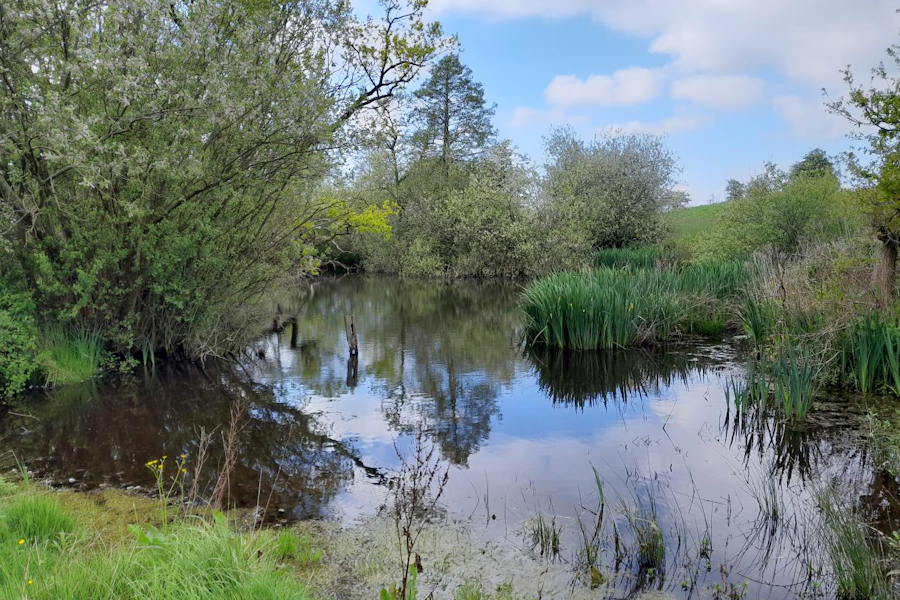 Cheshire West and Chester BNG Scheme