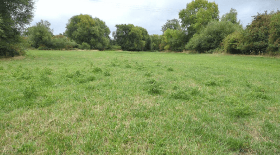 How Existing Other Neutral Grassland is Improved