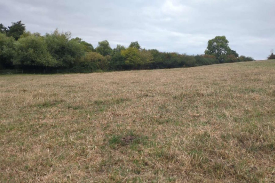 How Existing Modified Grassland Is Improved