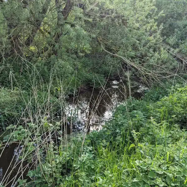 Tees Nutrient Mitigation