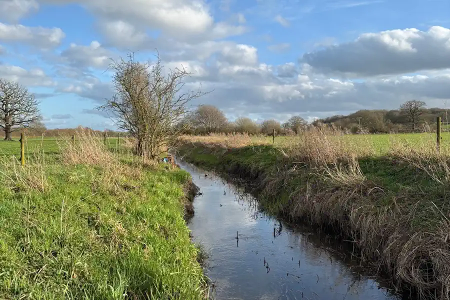 Stream running through grassy farmland under a blue sky