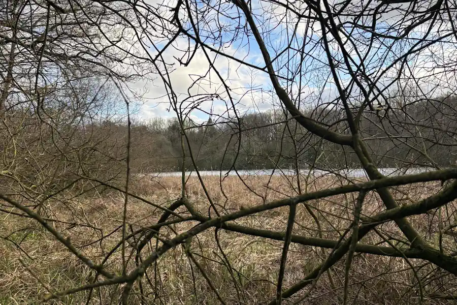 Shropshire LPA
