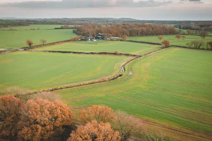 Aerial view of farmland watercourses in the Stour catchment, Kent