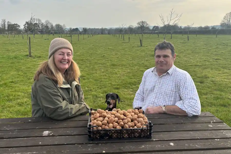 Helen and Mark Glover at a picnic table with a crate of walnuts in their orchard