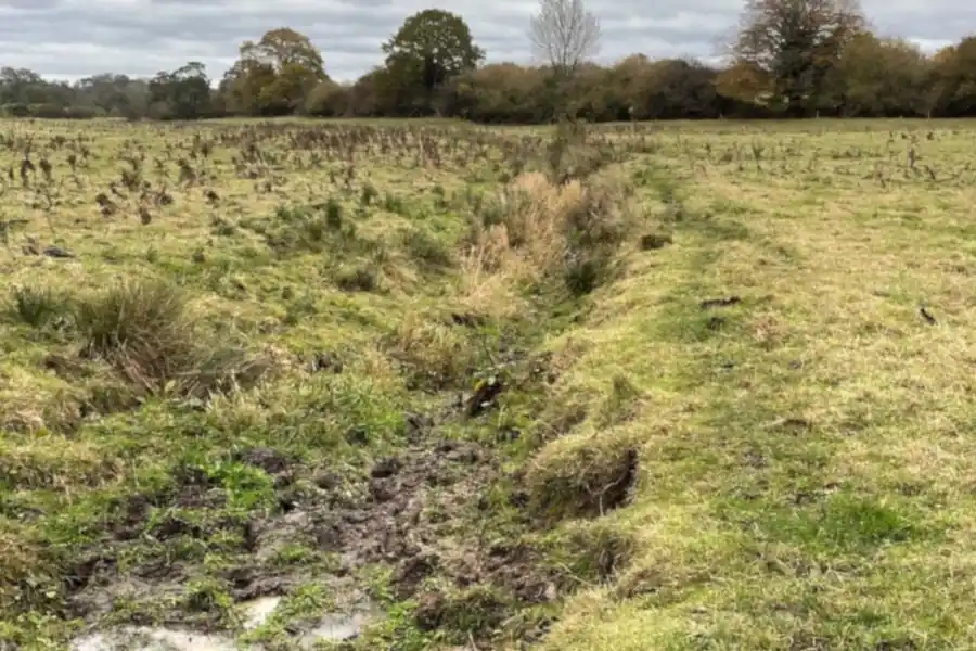 Wet grassland and drainage channel at Yare