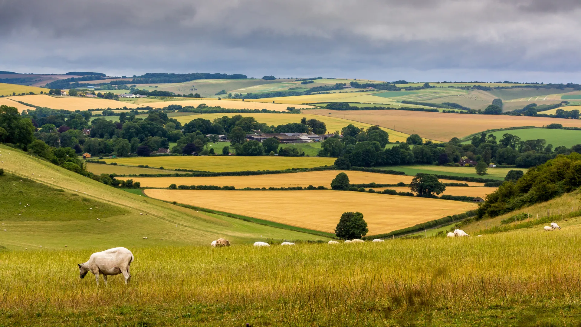 Vale of White Horse LPA