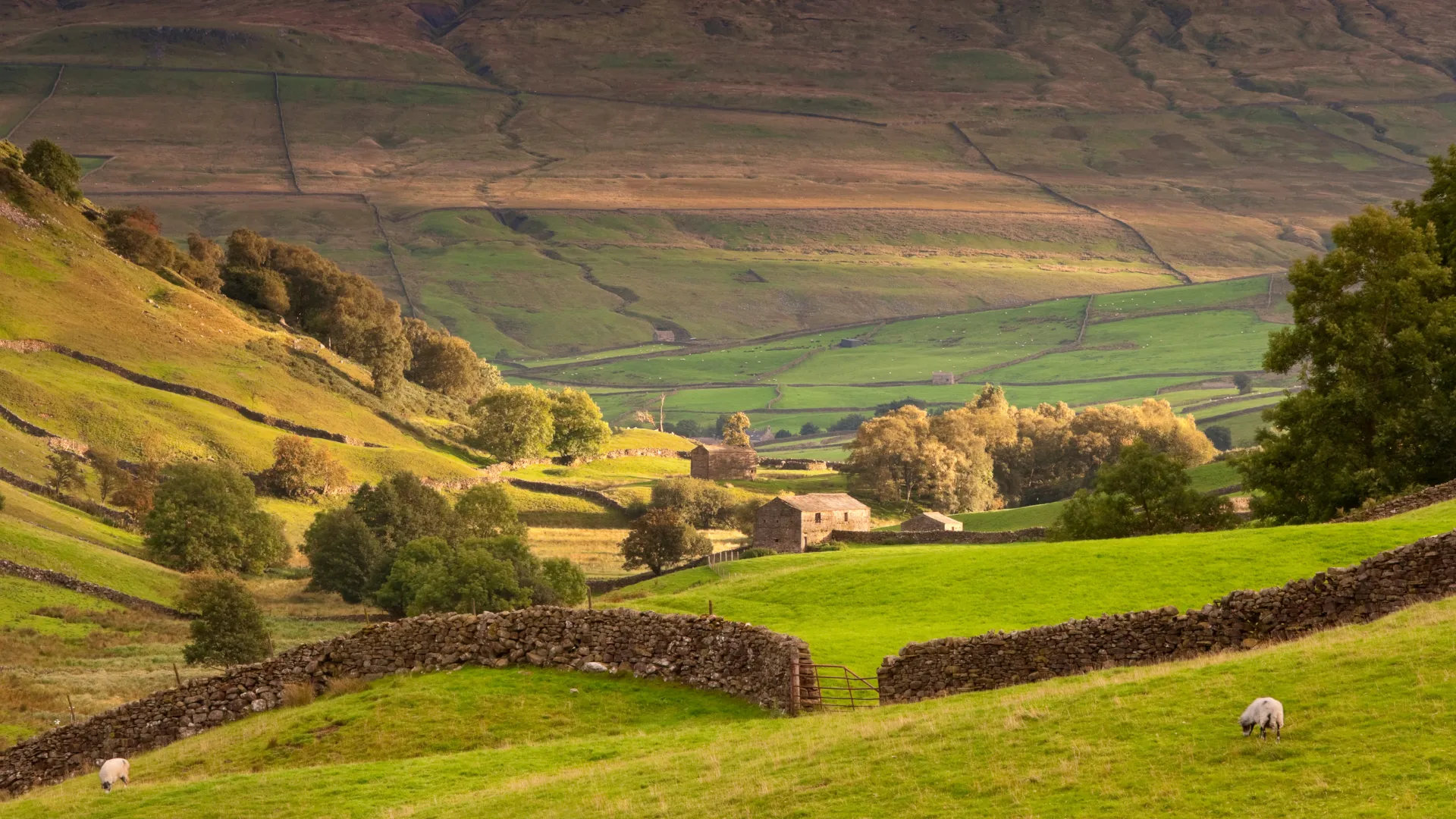Yorkshire Dales National Park LPA