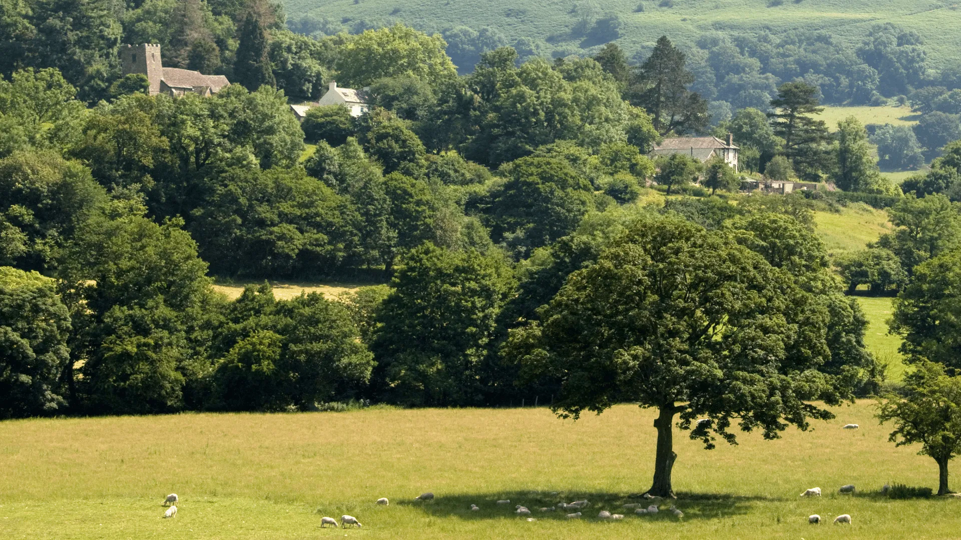 North Yorkshire LPA