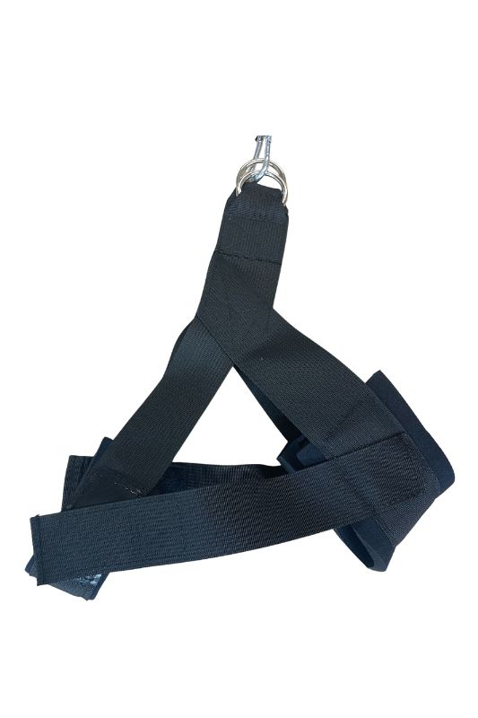 Halo Cervical Door Traction System