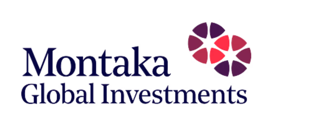 Montaka Global Investments