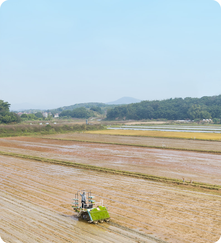 Farmer operating a rice planting machine on flooded paddy fields .