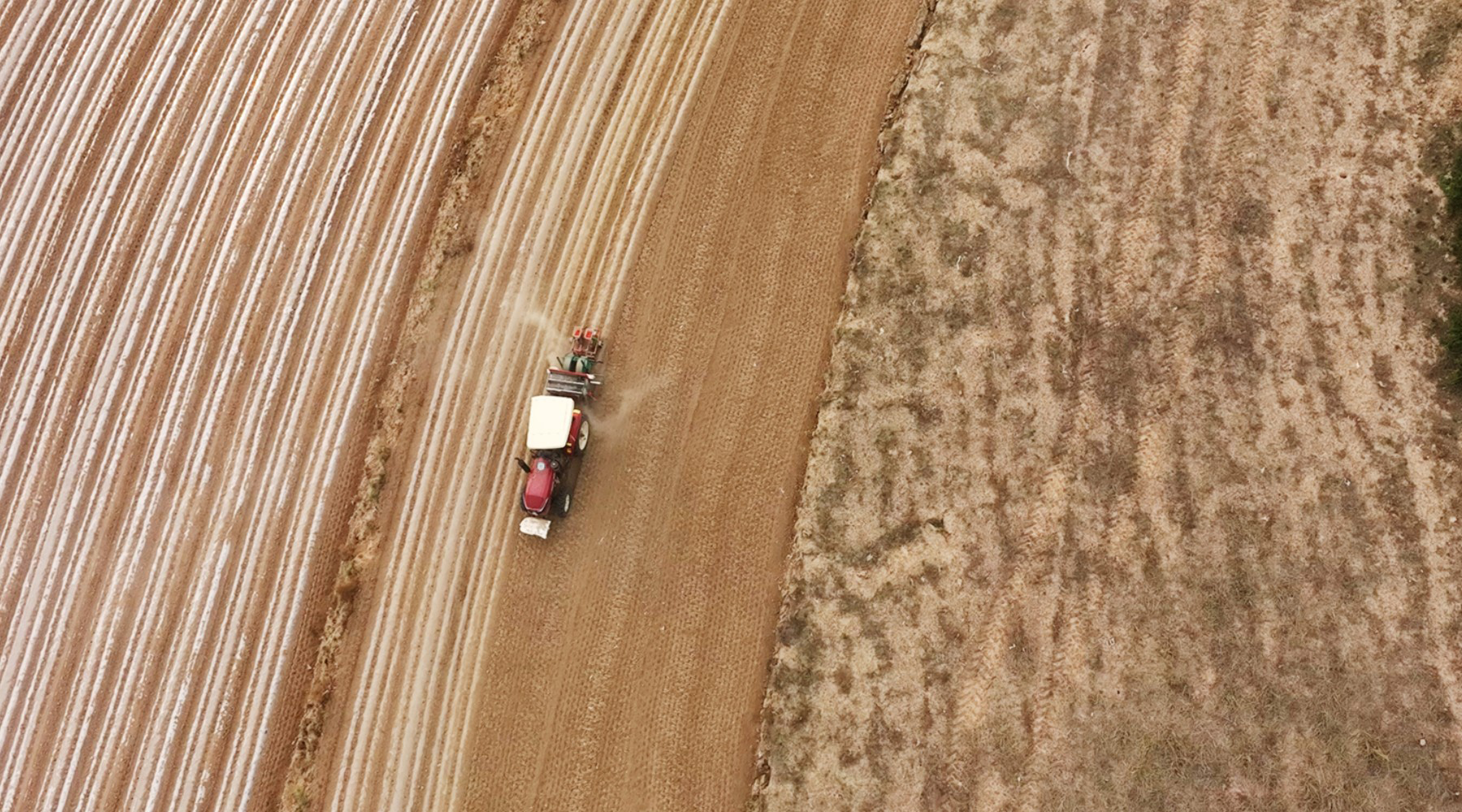 AB Equidistant Curve