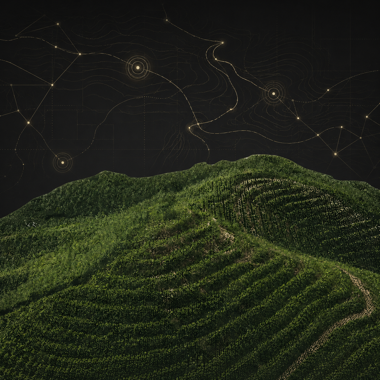 Green forest-covered hills with data featuring glowing connected points and contour lines.