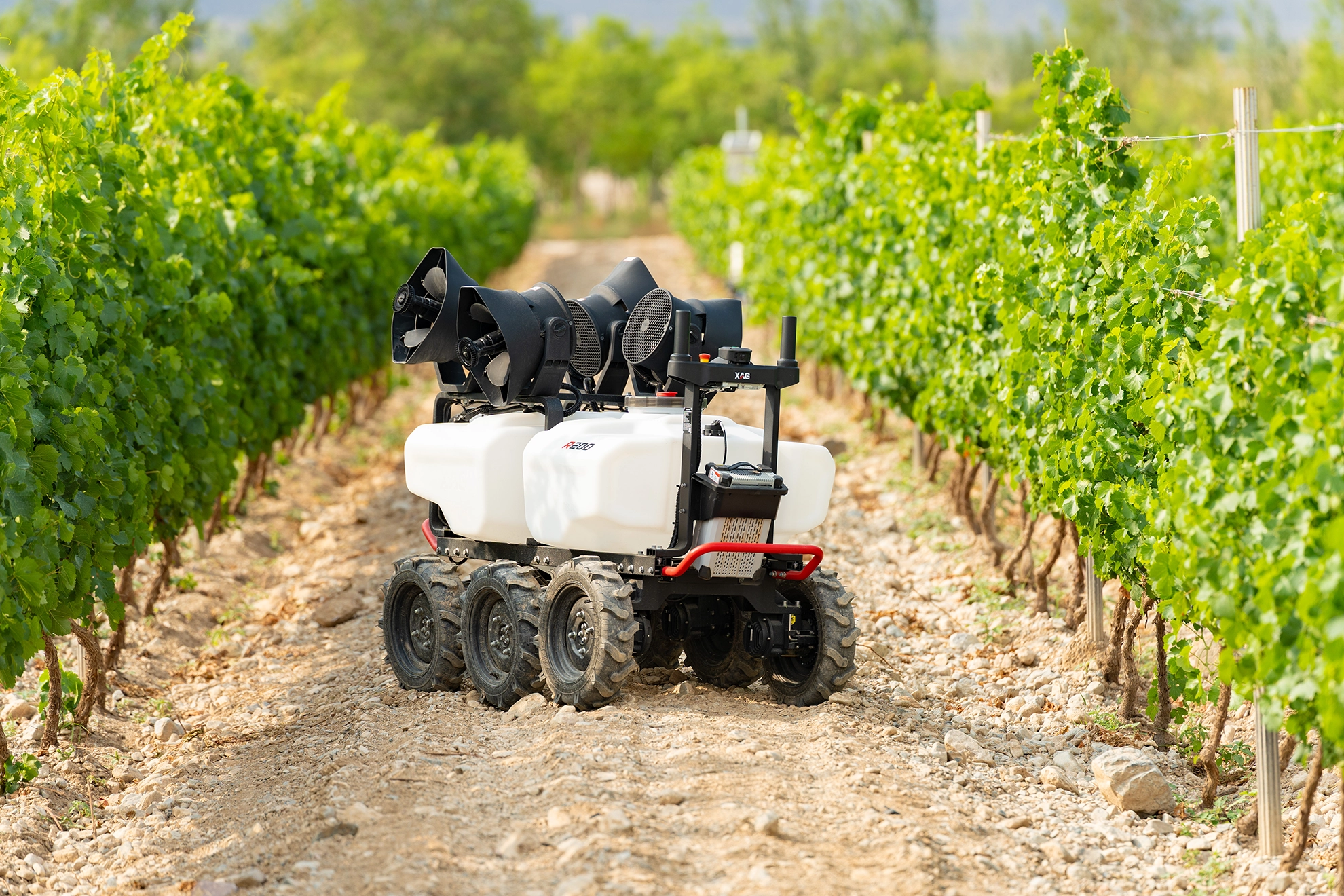 Autonomous agricultural robot navigating vineyard rows with green grapevines on both sides.