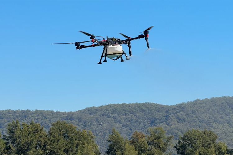 Drone spraying water mist over a netted agricultural field under sunlight.