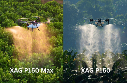Drone spraying water mist over a netted agricultural field under sunlight.