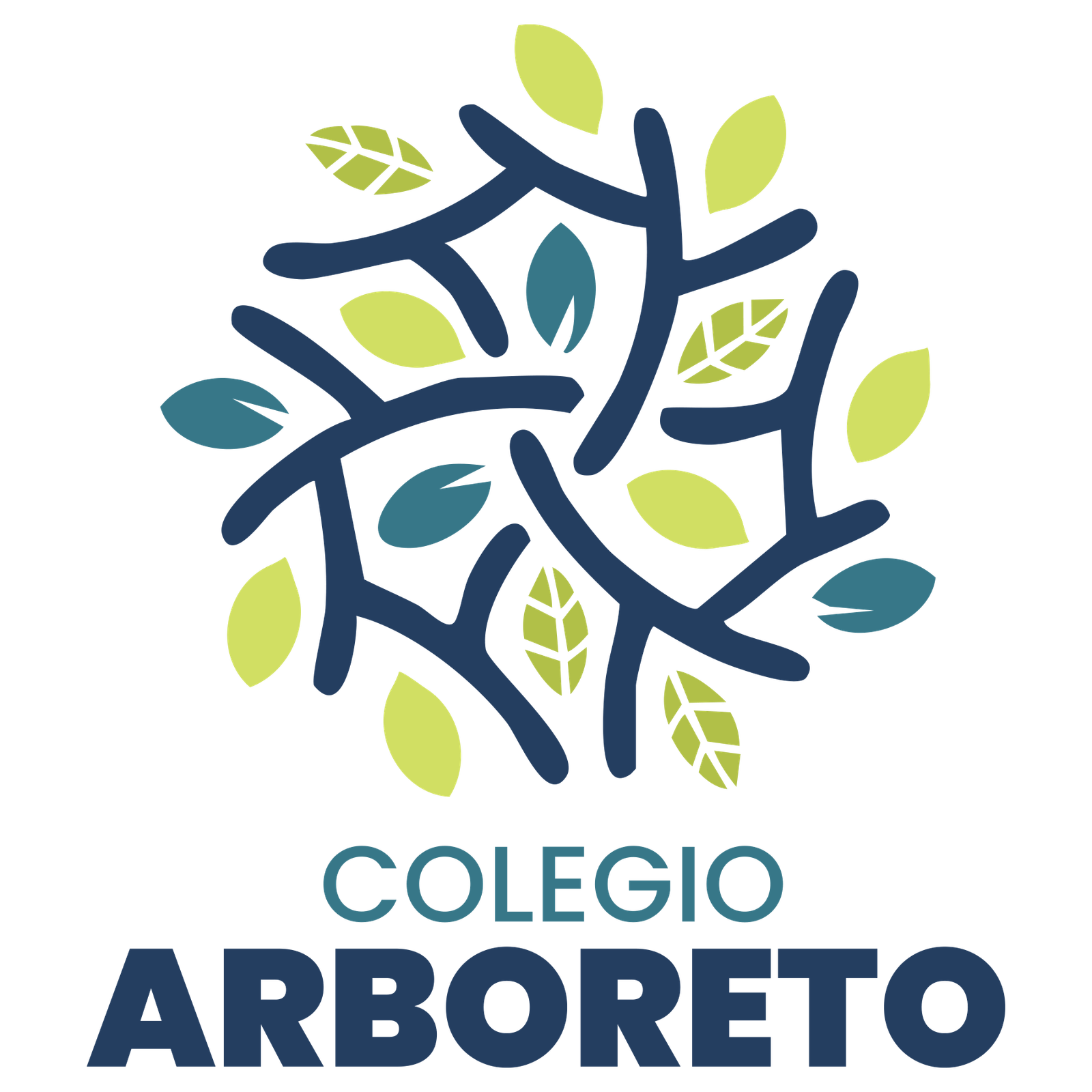 Mejores colegios de Metepec | Preescolar en Colegio Arboreto 🌟🎒