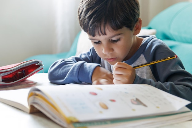 Niño haciendo la tarea en casa | Foto Premium
