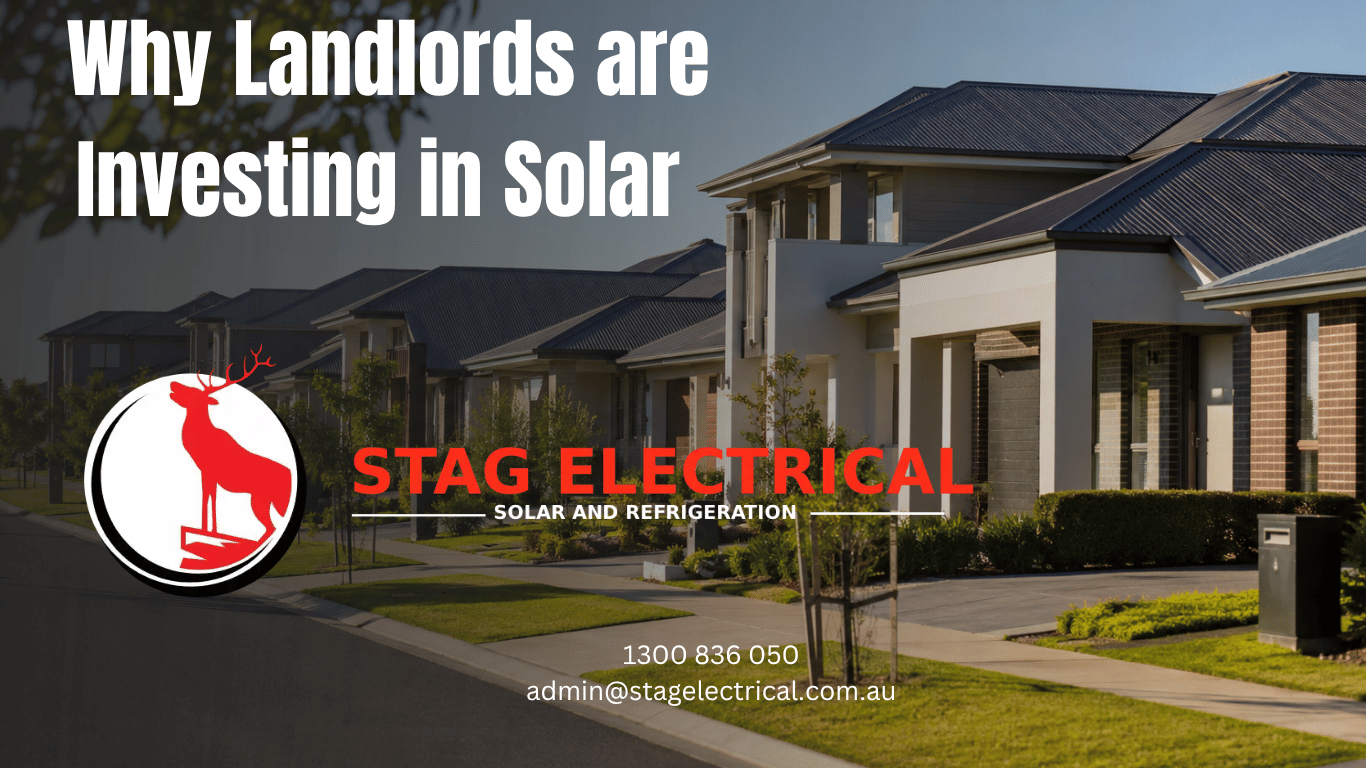 Will Solar Battery Prices in NSW and ACT Rise Due to Stock Shortages in 2025?