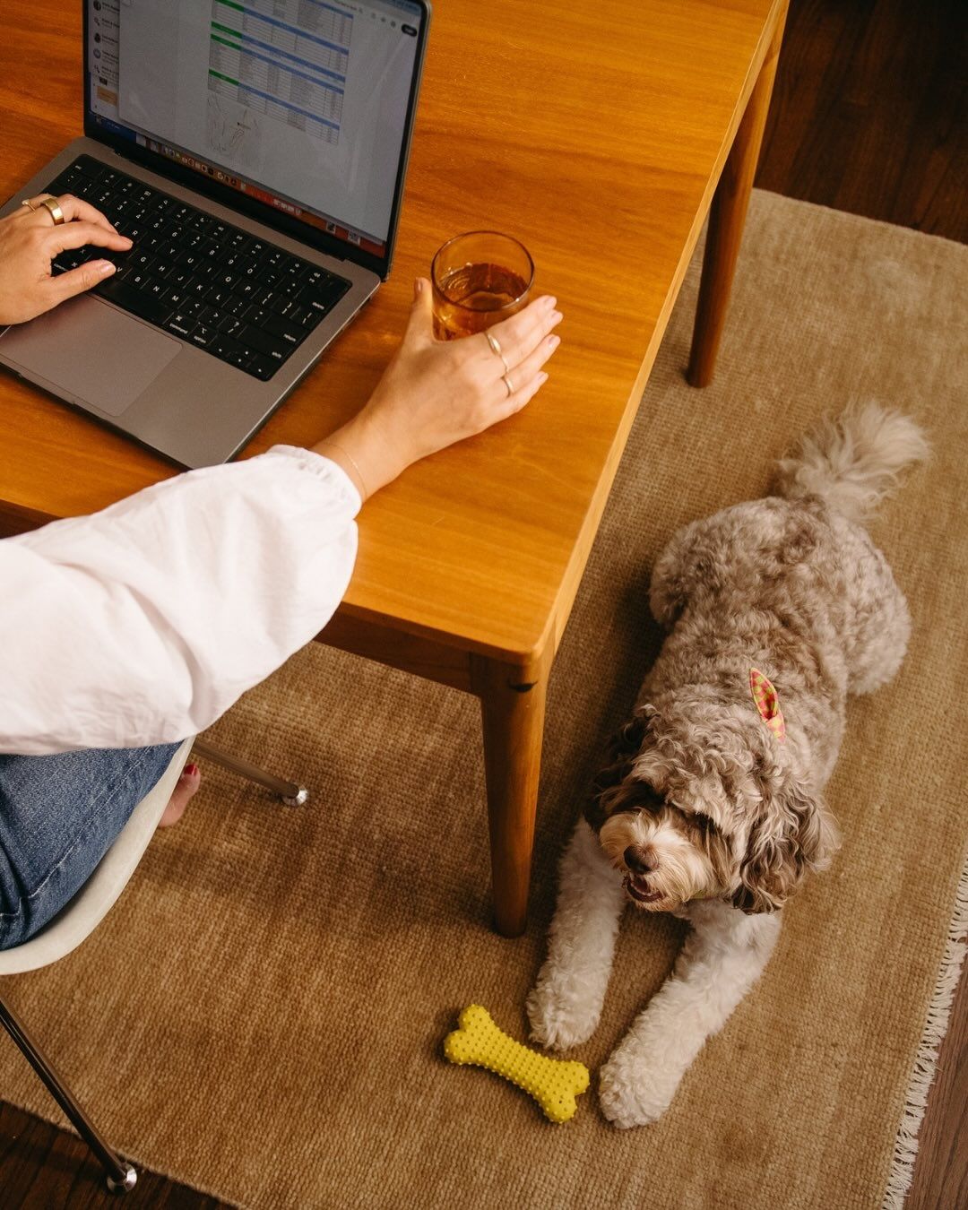 Chien, travail et télétravail